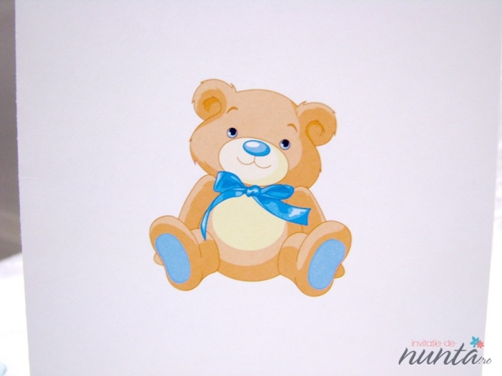 Meniu de botez Blue Teddy