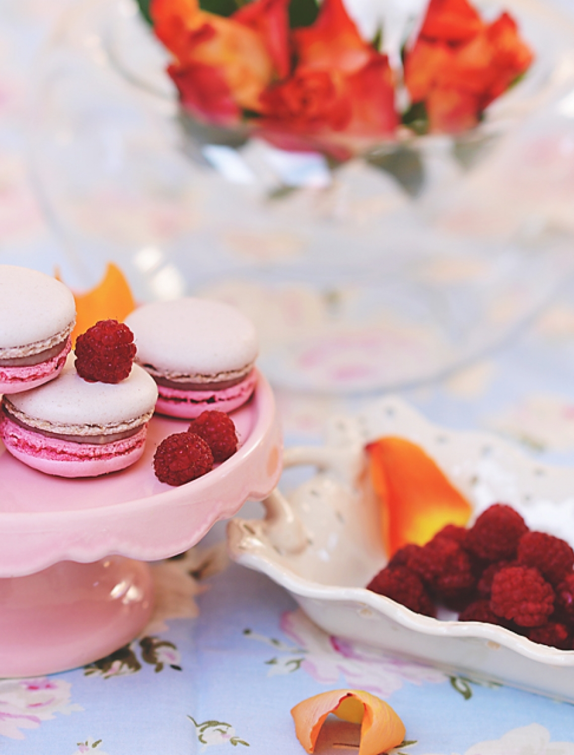 Macaron Ispahan