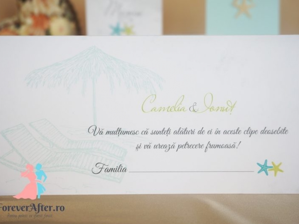 Plic de bani beach wedding boarding pass